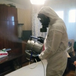 Дезинфекция от клопов в Миллерово