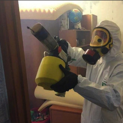 Уничтожение клопов в квартире. Миллерово